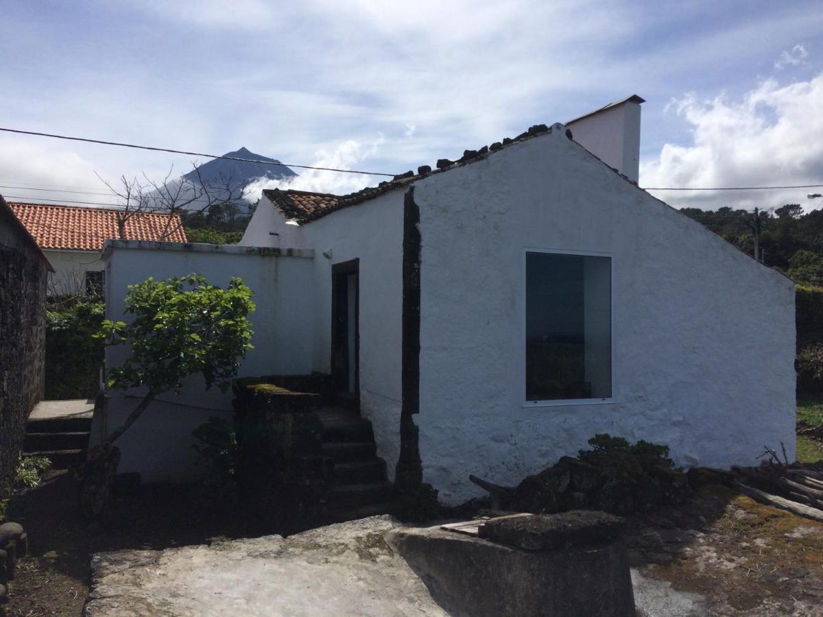Casa Do Castanheiro Βίλα Santo Antonio  Εξωτερικό φωτογραφία