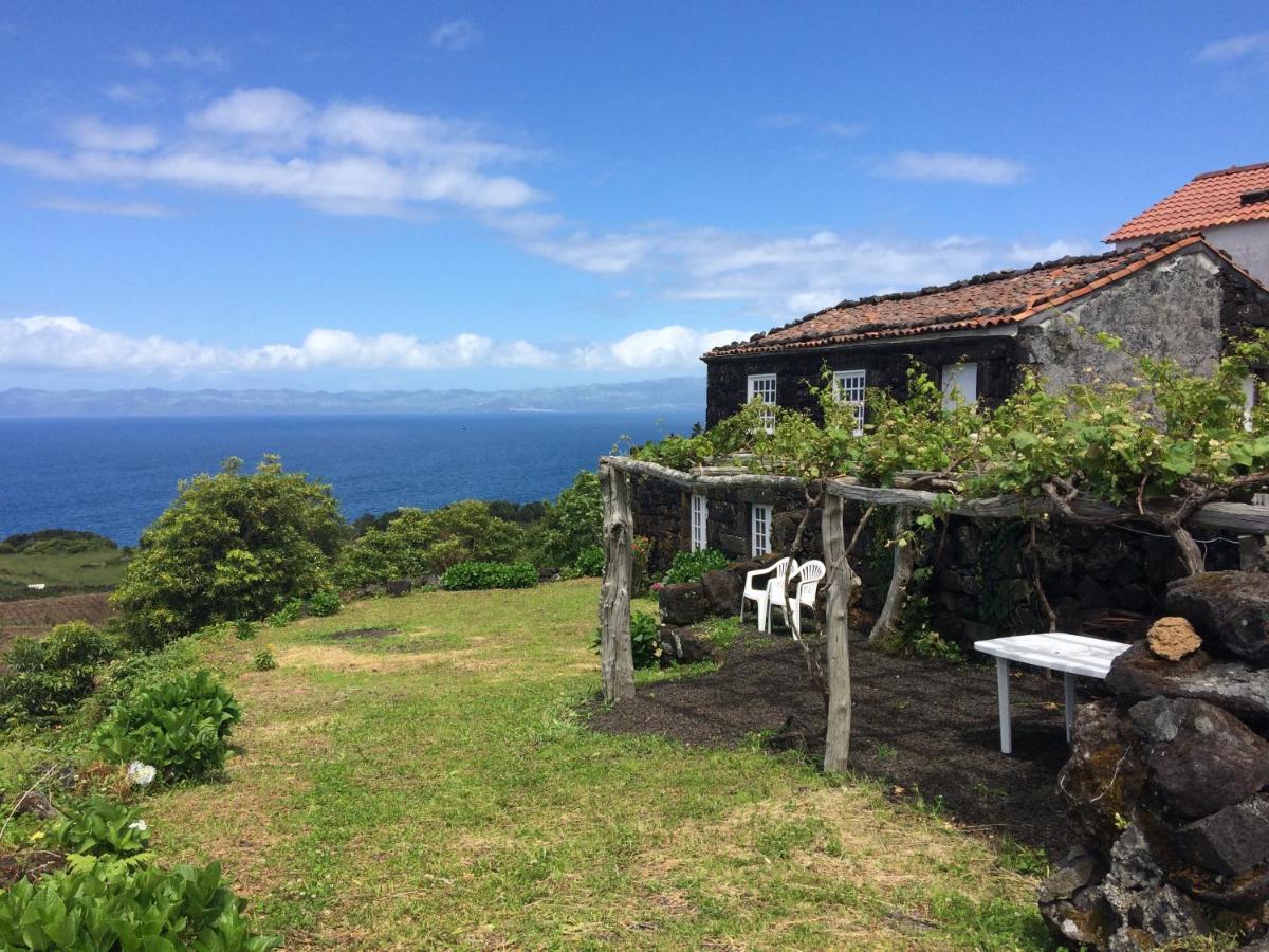 Casa Do Castanheiro Βίλα Santo Antonio  Εξωτερικό φωτογραφία
