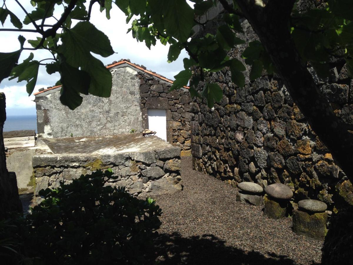 Casa Do Castanheiro Βίλα Santo Antonio  Εξωτερικό φωτογραφία