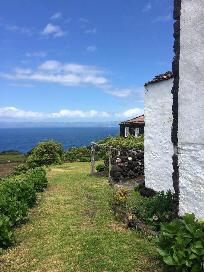 Casa Do Castanheiro Βίλα Santo Antonio  Εξωτερικό φωτογραφία